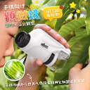 商品画像2