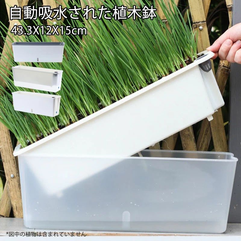 鉢 ミニ 水可視 植木鉢 43.3X12X15cm プランター 自動吸水 ppプラ鉢 長方形 注水口 排水穴付き 長い鉢 多肉植物 育苗ポット 家庭菜園 野菜 深型 プラスチック シンプル 観葉植物 屋内 屋外 バルコニー 庭 植物 花 透明ホワイト ホワイト グレーホワイト