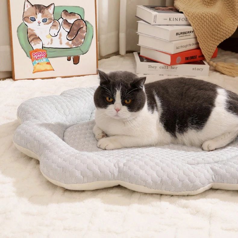 滑り止め 夏用 速乾 くも マカロン色 猫 ペットベッド いぬ 70*55cm 春夏 ペットベ...