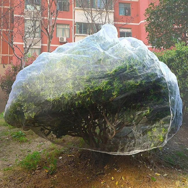 �̼��� ����� �ץ�󥿡� ��ں��� ��ʪ�ݸ�С� DIY ����Ŭ�Ѥ�Ʃ�� �٥��� ���� 2.4m*2.4m ������� ��ʪ�ݸ��� �����ں��� ������ ����ѥͥå� ��Ļ������ 1.8m*1.8m Ļ�к� �ߤ��� �ե����ʡ��դ� ������� ��Ļ�ͥå� �ڱ�