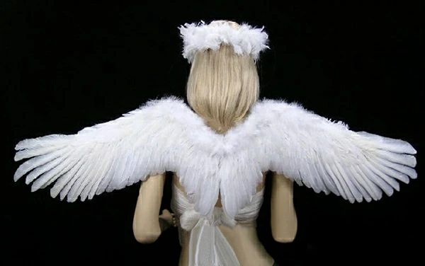 ����α� ���� �ϥ��������� ����ĳ�����ץ� �ϥ������� ���� �����ץ� ���å� ʸ���� ���� ���� �� ���� ������ �֥�å� �ѡ��ƥ��� �뺧�� �ر��...