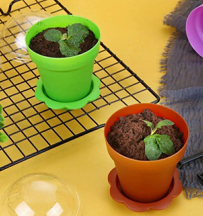 �ࡼ���ץǥ��� ���������꡼�५�åפ��� 100�Ŀ�ʪ�ݰ��ݥå� ���ڥ��å� ����٥� ����ȭ ���٥ɡ��� ��¿����ʪ �����ʥץ饹���å�