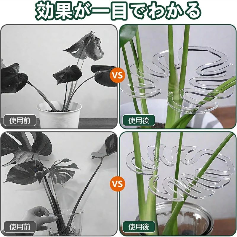 ��ݻ��� ��ʪ�ԥ��ݡ��� 4�����å� ��󥹥ƥ� ���� ������ Ʃ�� ��ʪ���ݡ��ȥ��ơ��� ��ʪ�򤭤����ľΩ�����ޤ� ���Ĵ����ǽ �����Ѳ�ǽ ������ ����� ���Ⲱ������