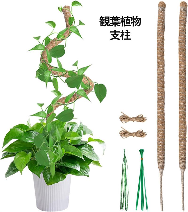 製品仕様素材：ココナッツ、商品数：60CMの支柱X2本、麻ロープX1本、プラスチックストラップ束x1本、ワイヤーストラップ束。思いのままに曲げる：植物に合わせて、お好きな形に曲げてください。それに、支柱を土に簡単に挿して、枝をテープで締めるだけでいいです。排水性、保水性に優れる：この観葉植物支柱は、通気性と排水性に優れつつも保水性を確保する天然ココナッツ繊維で作られています。環境に優しく、植物の健康促進にも寄与します。このココナッツ支柱は内部にアルミロッドを備えており、植物に強固なサポートを提供します。植物が成長しても安心で、長期間の使用に適しています。取り付けしやすい：植物に合わせて、お好きな形に曲げてください。それに、支柱を土に簡単に挿して、枝をテープで締めるだけでいいです。お知らせ：植物を含まれておりません。使用する前に、下のトレーがしっかりと取付られることを確認してください。