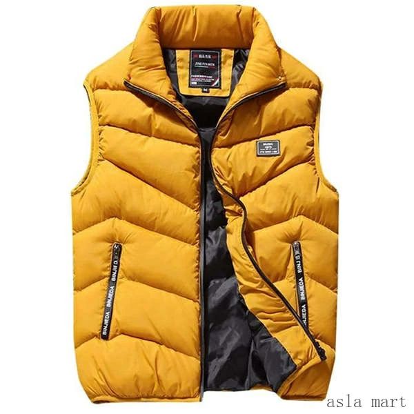 秋冬 スタンドカラー メンズ 防寒 ダウン アウター ベスト 中綿