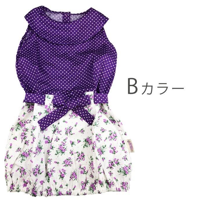 ���ԡ��� ���λ� �Ҷ� �Ҷ��ѥ��ԡ��� ���å� �Ҷ��� ����˥� �� ���� �Ρ����꡼�� �� ��100 �İ��� �������� ���㤤 ���� ���ޡ����ԡ��� �ѡ��ץ� �� ��󥯥����� ���� �ɥå� ȩ��ͥ���� ����̵��