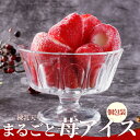SALE 特別価格 苺アイス 練乳入り 1袋50粒入 (1粒約20g ) 冷凍 ヒカリ乳業 丸ごと いちごアイス 個包装 苺スイーツ イチゴ おやつ 業務用 自...