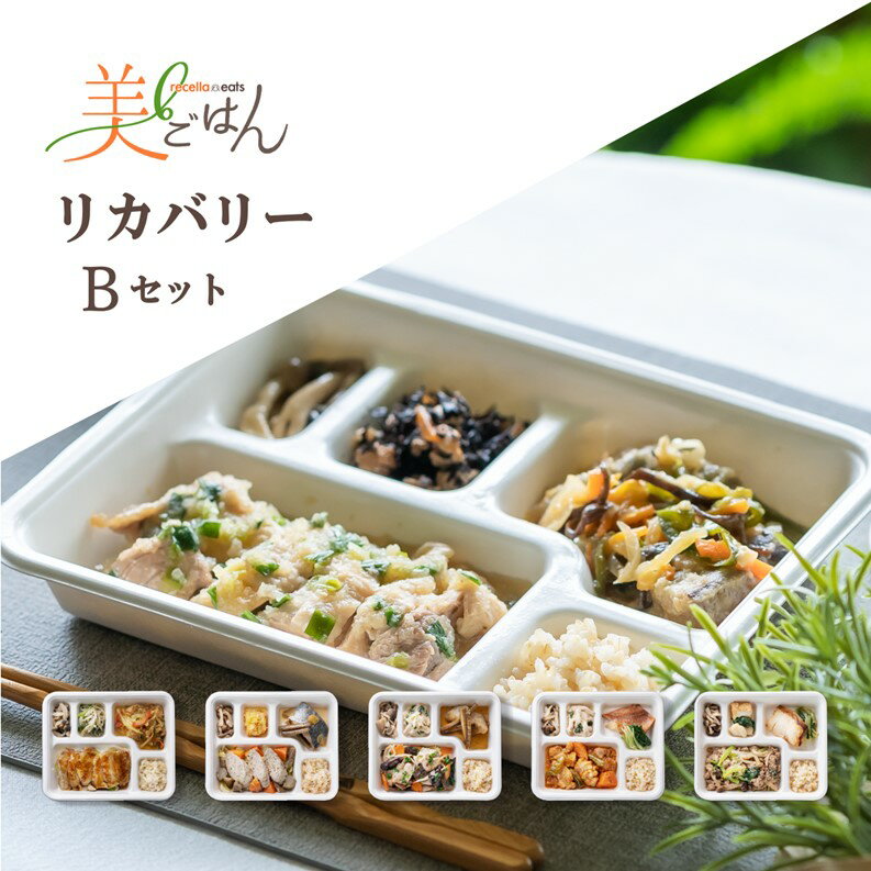 リセライーツ 無添加 低糖質弁当 美ごはん リカバリーBセット 5食セット