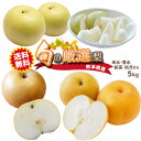 【先行予約 8月中旬~発送】熊本県 旬の厳選 梨 5kg (豊水/凛夏/秋麗/あきづき/新高/甘田)など ジューシーで甘い梨!鮮度お約束 農家さん直送♪送料無料
