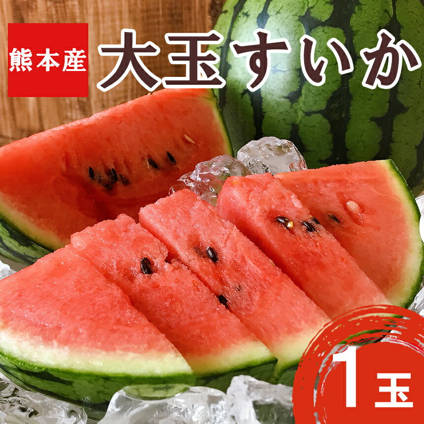 スイカ 大玉 1玉 熊本 スイカ王国 熊本県産 大玉スイカ 1玉 すいか 熊本 送料無料のサムネイル