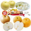 【先行予約 8月中旬~発送】熊本県 旬の厳選 梨 3kg (豊水/凛夏/秋麗/あきづき/新高/甘田)など 送料無料 ジューシーで甘い梨 新鮮お約束! 農家さん直送♪