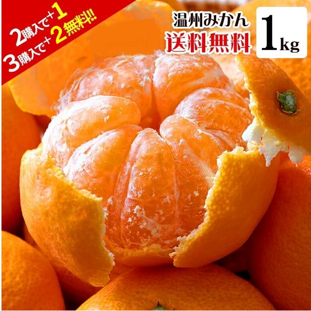 【2箱購入で＋1kgおまけ！3箱購入で＋2kgおまけ！！】 ご家庭用　みかん 1kg 【※10月中旬より順次発送】熊本 果物 フルーツ 蜜柑 ミカン 規格外 産地直送 送料無料　大人気　人気　温州みかん　温州ミカン　大玉　小玉のサムネイル