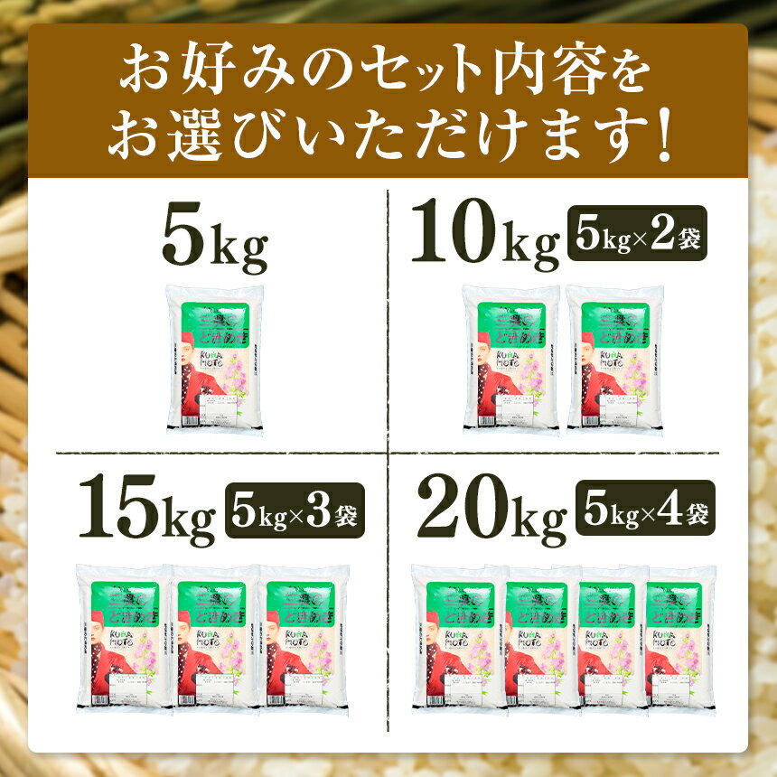 【送料無料】令和7年産 熊本県産 白米 ごはん おにぎり お取り寄せ 熊本県産米 精米　熊本県産 令和7年産 三度のときめき 白米 5kg （5kg×1袋）～ 20kg （5kg×4袋） 人気 お米 ヒノヒカリ おうち時間 送料無料