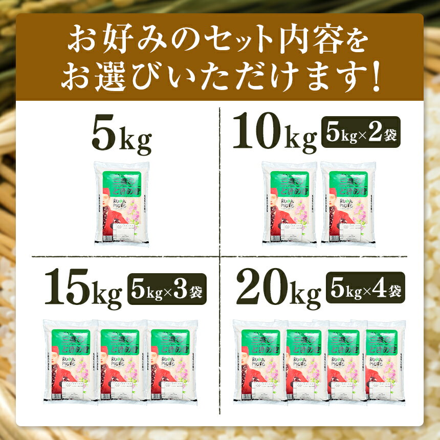 熊本県産 三度のときめき 白米 5kg （5kg×1袋）～ 20kg （5kg×4袋） 人気 お米 ヒノヒカリ おうち時間 送料無料 2