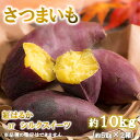 【先行予約】紅はるか or シルクスイート 約 10kg さつまいも 熊本県産 《10月頃より発送予定》 蜜芋 さつま芋 スイーツ 焼き芋 焼いも 秋 人気 2...
