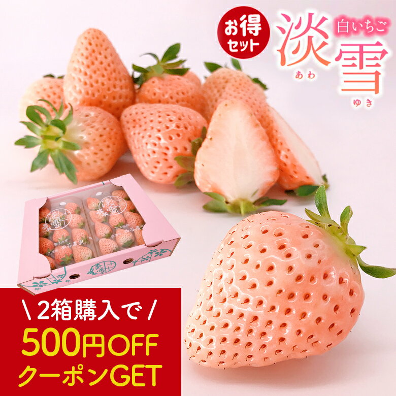 【先行予約♪】白いちご いちご 苺 淡雪 あわゆき 約250g×2P 《数量限定!...