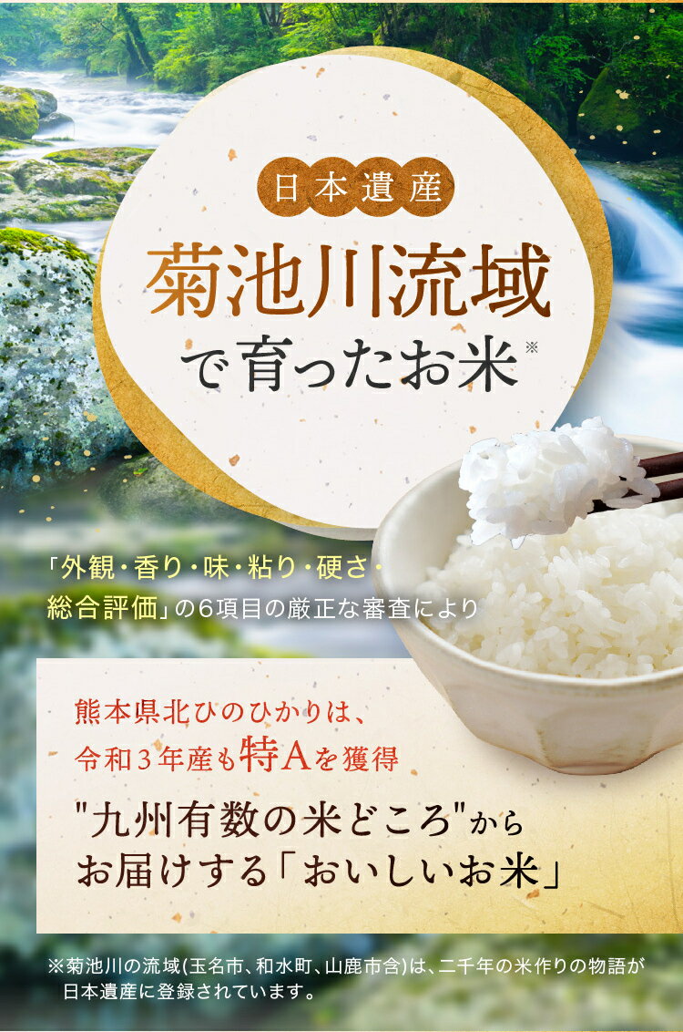 【送料無料】令和7年産 熊本県産 白米 ごはん おにぎり お取り寄せ 熊本県産米 精米　熊本県産 令和7年産 三度のときめき 白米 5kg （5kg×1袋）～ 20kg （5kg×4袋） 人気 お米 ヒノヒカリ おうち時間 送料無料