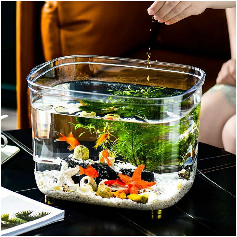 【最短翌日着】金魚鉢 プラスチック メダカ 水槽 透明 ボウル 水培 大容量 アクリル メダカ水槽 飼育水槽 メダカ鉢 屋外 観葉植物 インテリア メダカ 容器 テーブル アクアリウム ボウル 水培 大容量 おしゃれ 金魚鉢大容量 メダカ飼育鉢 (34cmx25.5cmx15.8cm)