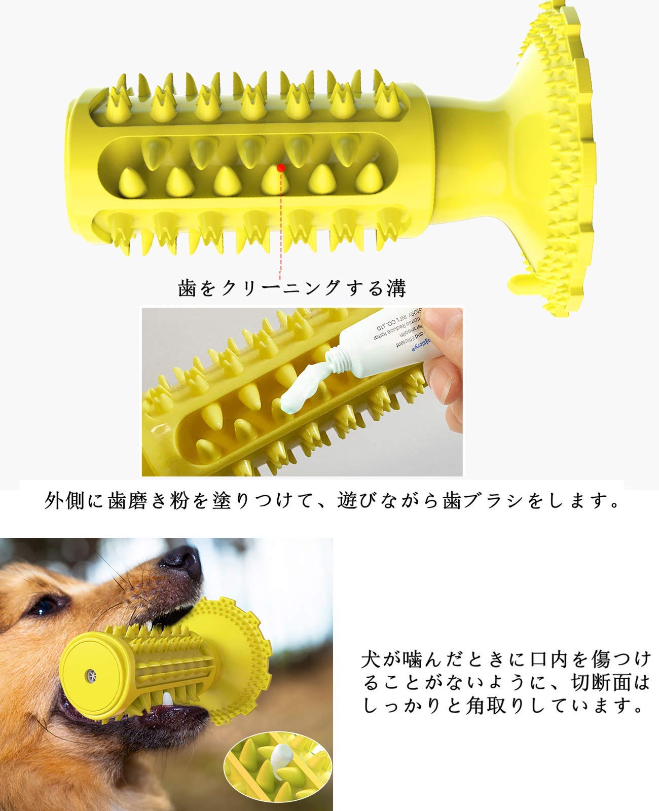 ���Ѥ������ ���प����� ���� ���ѻ��֥饷 ���λ��֥饷 ���γ��प����� ������ ���ѻ������������֥饷 ���ȥ쥹��� ������� �ѵ���(���췿����������)