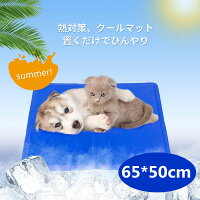 ペットも熱中症対策して命を守る 夏の暑さから犬や猫を救う人気グッズ 予算予算5 000円以内 のおすすめプレゼントランキング Ocruyo オクルヨ ペットも熱中症対策して命を守る 夏の暑さから犬や猫を救う人気グッズ 予算予算5 000円以内 のおすすめプレゼントランキング Ocruyo オクルヨ