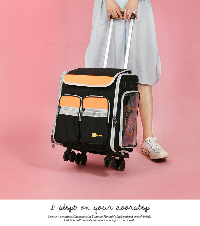 リュックキャスター リュックサック ペットキャリー 3way 猫 キャリー バッグ 4輪 ペットキャリーカート キャスター付き ペットリュック 犬 キャリー ペットリュック型 クレート リュックショルダー