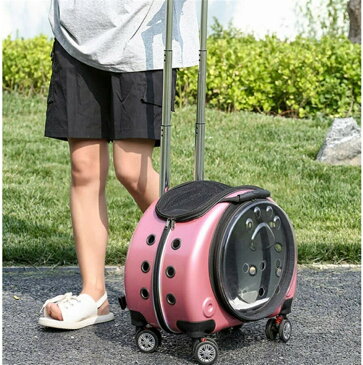 ペットキャリーバッグ 多機能 リュック キャスター 4輪 伸縮ハンドル 猫 小型犬 小動物適用 大容量 携帯やすい 透明 ペットバッグ アウトドア 通院 散歩 車載 避難 旅行 電車移動 お出かけ便利