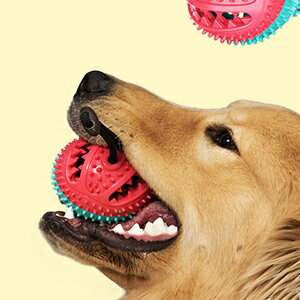 犬用 おもちゃ ペット 餌入れ知育玩具 おやつボール 倒れないエッグ 知育玩具 IQステップボール 運動不足の解消 ペットおもちゃ 犬用 猫用 おやつ おもちゃ 早食い防止 餌入れ ストレス解消 エサ 供給 犬猫用食器 食器