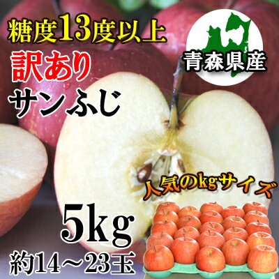 【訳あり】【糖度13度以上】青森県産「サンふじ」5kgダンボール・モールドパック詰（約14〜23玉入）