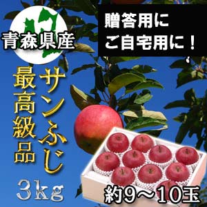 糖度13度以上「サンふじ」最高級品3kgダンボール・フルーツキャップ詰(約9〜10玉入)