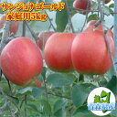 青森県産サンジョナゴールド家庭用5kg詰(16~20玉入)