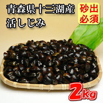 【産地直送】【送料込】青森県十三湖産《活しじみ》2kg【代引き不可】【配達指定不...