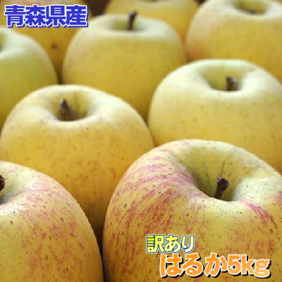 【数量限定販売】青森県産【訳あり】はるか5kg(14〜20玉入り)