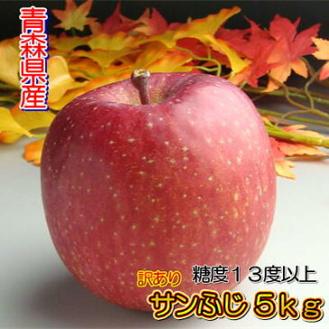 【訳あり】【糖度13度以上】青森県産「サンふじ」5kgダンボール・モールドパック詰(約14〜23玉入)