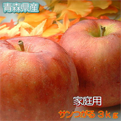 青森県産サンつがる家庭用3kg(約9〜12玉入) 青森県産サンつがる家庭用3kg(約9〜12玉入)