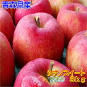 【早期割引ご予約販売】青森県産訳ありシナノスイート 3kg詰(8~13玉入)