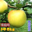青森県産トキ家庭用5kg詰(16~20玉入)