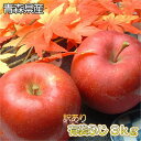 【青森県産】【訳あり】 有袋ふじ3kg(8〜12玉入)ダンボ...