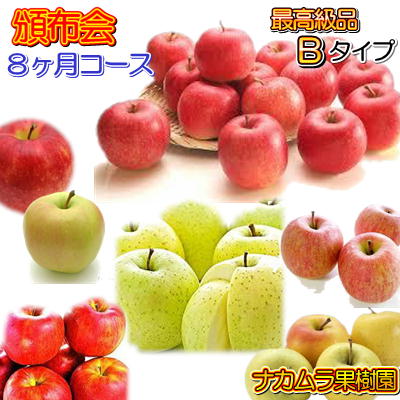 頒布会Bタイプ 最高級品5kg詰×8ヶ月分（9〜4月）発送は毎月中旬予定...