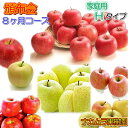 頒布会Hタイプ 家庭用5kg詰×8ヶ月分(9〜4月)発送は毎月中旬予定