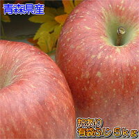 【3ヵ月頒布会】青森県産訳あり 有袋ふじ5kg（13〜20玉入）