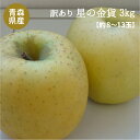 【 青森県産 】「訳あり」 星の金貨3kg詰(約8〜13玉入)