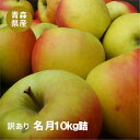 【早期割引ご予約販売】青森県産 訳あり名月10kg(約28〜46玉入)