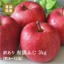 【青森県産】【訳あり】 有袋ふじ3kgダンボール・モールドパック詰め（8〜12玉入）