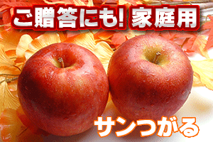 ナカムラ果樹園の【ご予約販売】「青森県産」サンつがる家庭用3kg（約9〜12玉入）｜アングル2