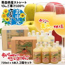 お中元 夏 ギフト 青森県産 りんごジュース ストレート 果汁 100% ちいちゃんの想い出りんご ゆうくんの黄色い林檎 瓶720ml×6本入 お得な2箱セット 送料無料 包装無料 熨斗無料 贈答 贈り物 御中元 慶事 弔事 熨斗 青森 ふじ 王林 トキ りんご本来の味