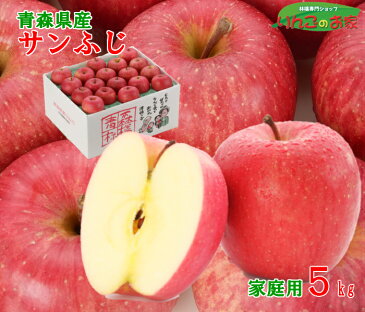 りんご サンふじ 訳あり 5kg 16〜20玉 送料無料 青森県産 家庭用