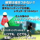 [ポイント5倍] 野球 トス バッティング シャトル 48個 収納カゴ セット 4色アソート 室内練習もできる 雨天練習にも 羽 まとめ買いでお得 羽根打ち 羽打ち