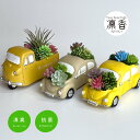 多肉植物 寄せ植え おしゃれ アンティークカー ワーゲン トラック CT触媒加工 多肉植物 プレゼント ギフト アレンジ ギフトにもおすすめ 母の日 誕生日 送別 お返し 定形外郵便でのお届けします