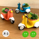 多肉植物 寄せ植え おしゃれ ベスパ バイク スクーター CT触媒加工 多肉植物 プレゼント ギフト アレンジ ギフトにもおすすめ 母の日 誕生日 送別 お返し...