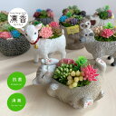 多肉植物 寄せ植え おしゃれ アニマル CT触媒加工 多肉植物 プレゼント ギフト アレンジ 人工観葉多肉植物 フェイクグリーン ギフトにもおすすめ 母の日 誕...